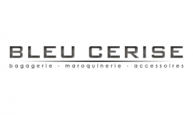 logo Bleu Cerise