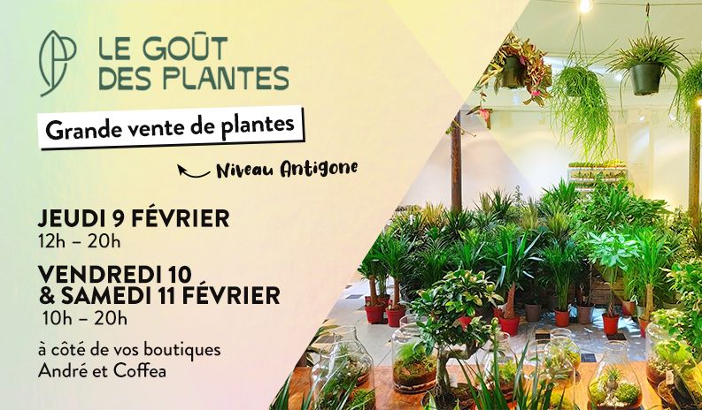 GRANDE VENTE DE PLANTES